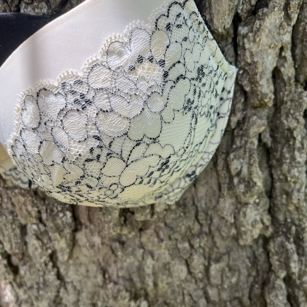 ⬇️Price Drop!⬇️ Victoria’s Secret Dream Angels Push Up Bra in size 34dd